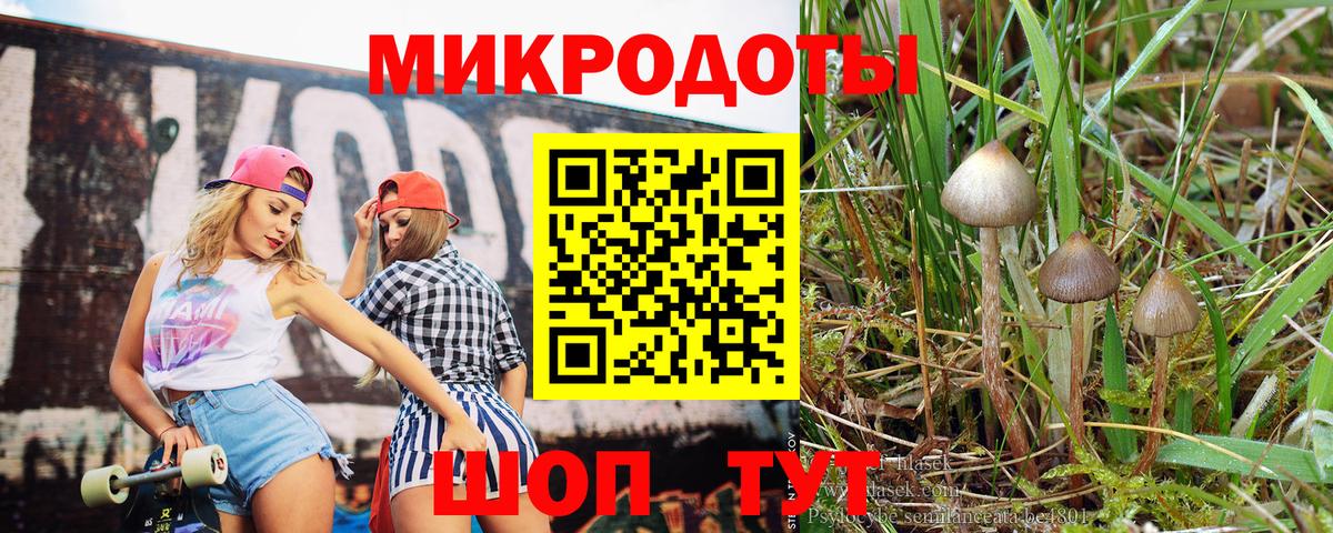 Владимир  Псилоцибиновые грибы мицелий  Вход с VPN 